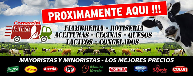 vega Central Locales 747-1007-703, Recoleta, Región Metropolitana