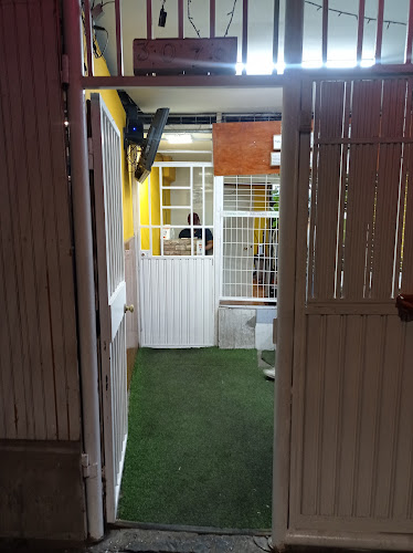 EXCLUSIVO PARA TI HOSPICIO - Alto Hospicio