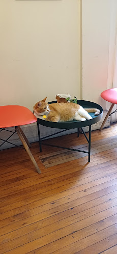 Tetería Cleopatra Chile - Gastronomía y hostelería