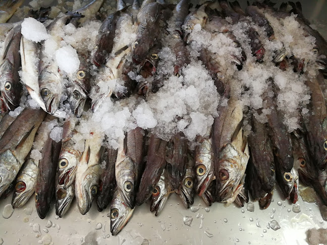 Av. España 656, 2970017 San Vicente de Tagua Tagua, O'Higgins