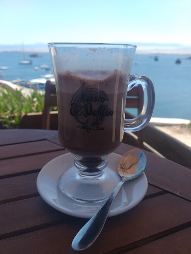 Comentarii opinii despre kiosco el Delfín