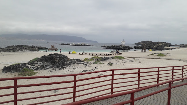 Pinups Cafe - Bahía Inglesa