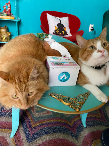 Tetería Cleopatra Chile - Santiago