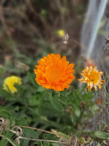 Minimarket Juan Quiño - Gastronomía y hostelería