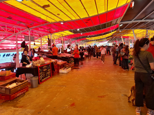 Libertad 28, Valdivia, Los Ríos