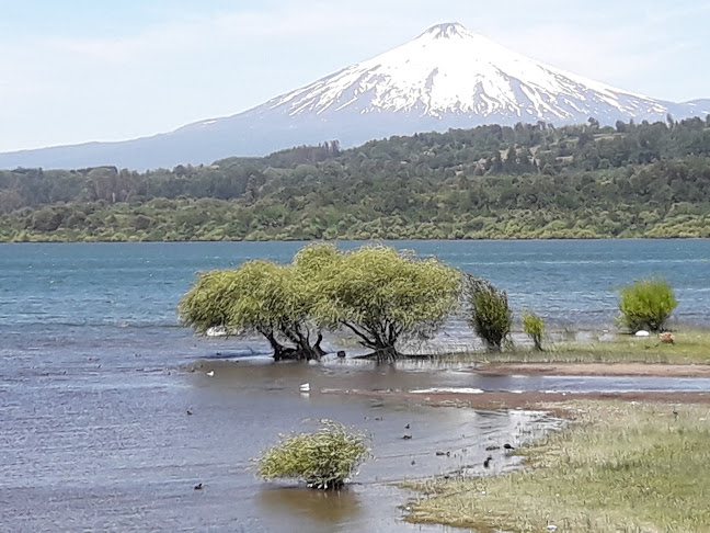 Restaurant el Rey del Marisco de Villarrica - Gastronomía y hostelería