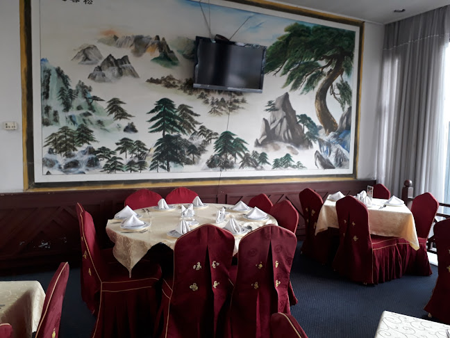 Comentarii opinii despre Restaurant Jardín Chino