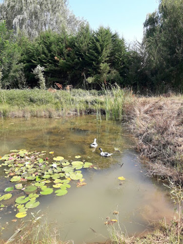 La rinconada parcela 2 cumpeo río claro talca, Talca, Maule