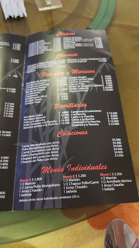 Opinii despre Restaurant China House în Talagante - Gastronomía y hostelería