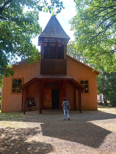 2201202, Punucapa, Los Ríos