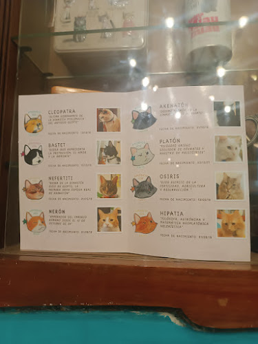 Adriana Cousiño 383, 8350745 Santiago, Región Metropolitana