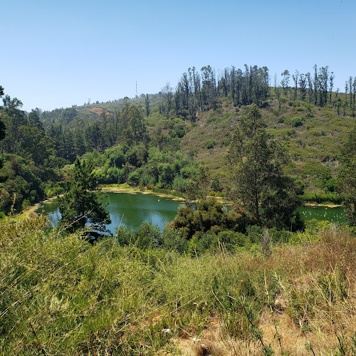 Restaurant El Plateado - Gastronomía y hostelería