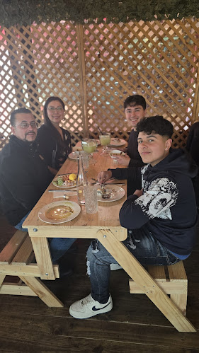 Olivo limon - Maipú