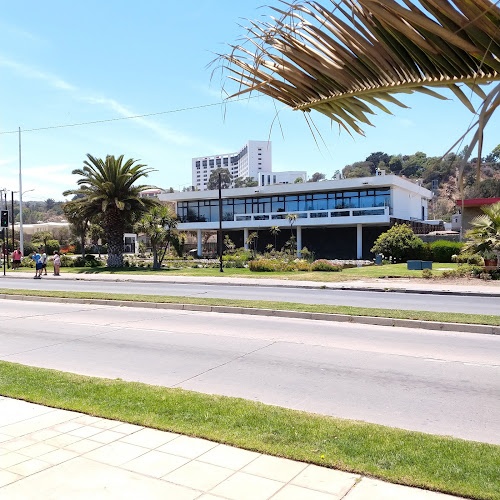 3 Pte. 559, 2520136 Viña del Mar, Valparaíso