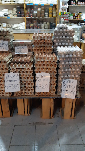 DondeElPolloOvallino Phone number