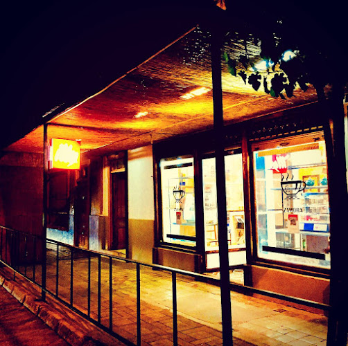 Gabriela Mistral 381, 1760769 Vicuña, Coquimbo