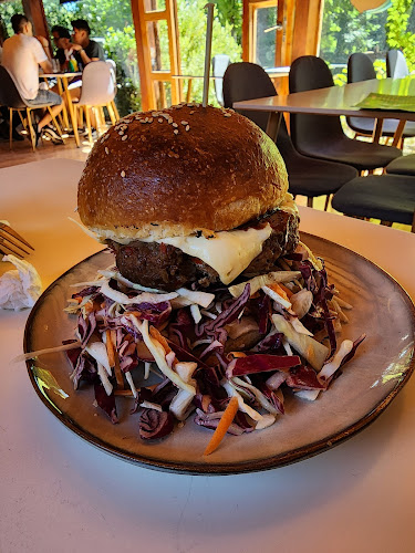 Punto Alemán Caburga