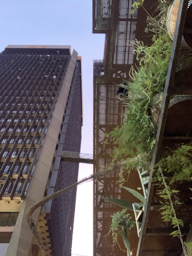 Comments and reviews of BAR EL BAJO