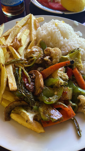 Manuel Rodriguez s/n, Pisco Elqui, Paihuano, Coquimbo