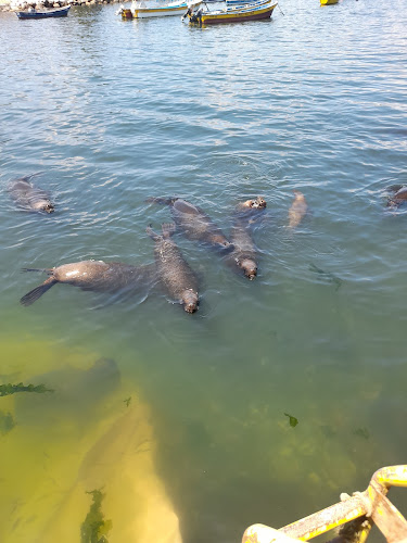 Comments and reviews of Caleta de Guayacán