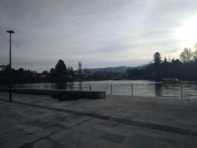 La Terraza Restaurant Gastronomía Marina Open Times