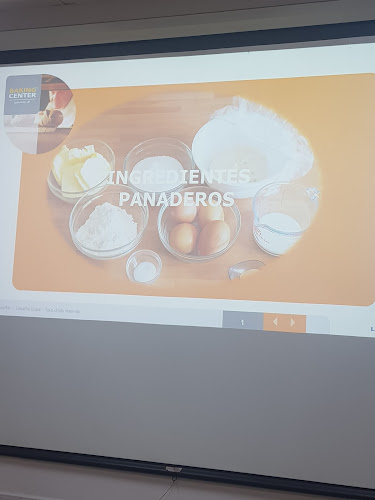 Lesaffre Industrial Chile S.A - Quilicura