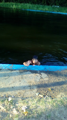 Opinii despre Brauerai Bühler (Cerveceria Bühler) în Ercilla - Gastronomía y hostelería