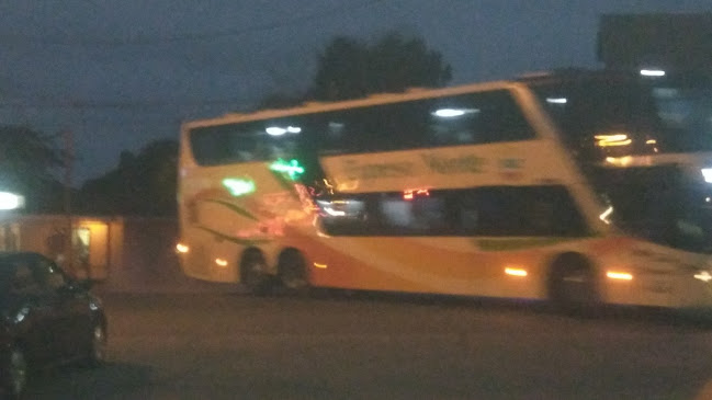 Comida Al Paso Cármen Phone number