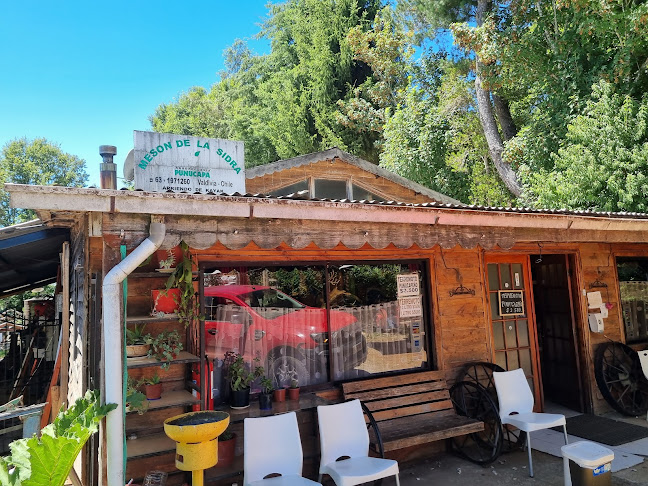 2201202, Punucapa, Los Ríos