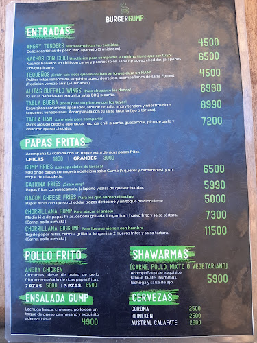 Don Shawarma Chile