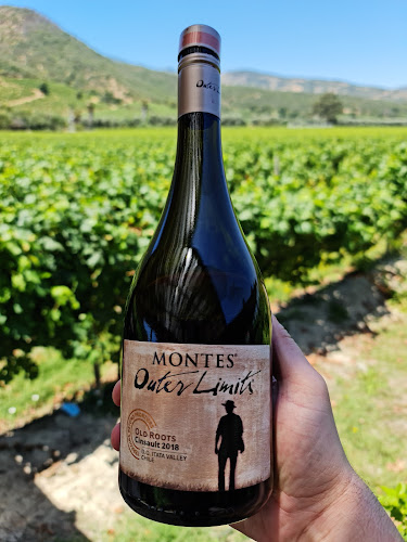 Viña Montes Alpha - Gastronomía y hostelería