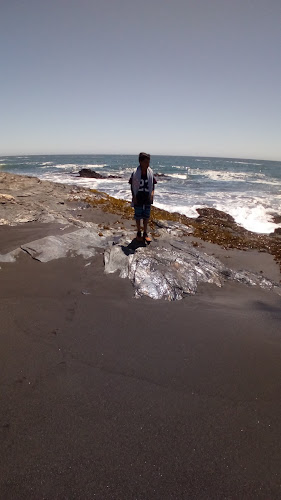 Comments and reviews of Mercado de Mariscos Pelluhue