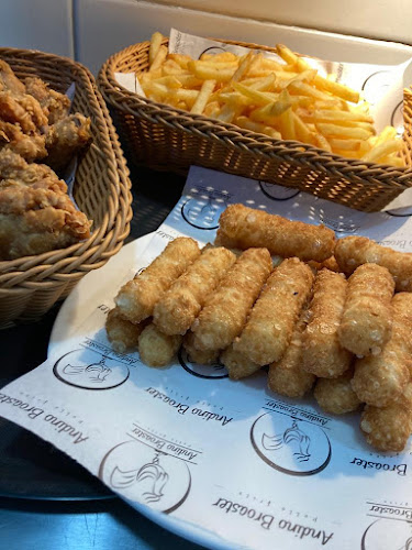 Comentarii opinii despre Andino Broaster