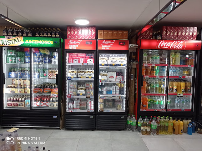 Aviador Acevedo, 4930000 Villarrica, Araucanía