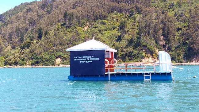 Balsa Turística Llico Paraíso