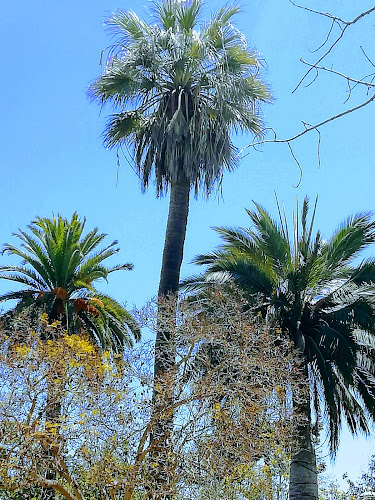Tapizzería Descubriendo Sabores