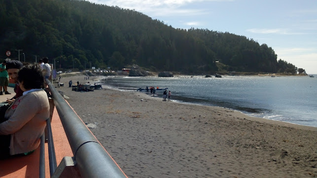 Restaurant El Mono 3 - Hualpén