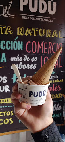 Helados Artesanales PUDÚ - Gastronomía y hostelería
