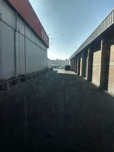 Comments and reviews of Trendy Quilicura