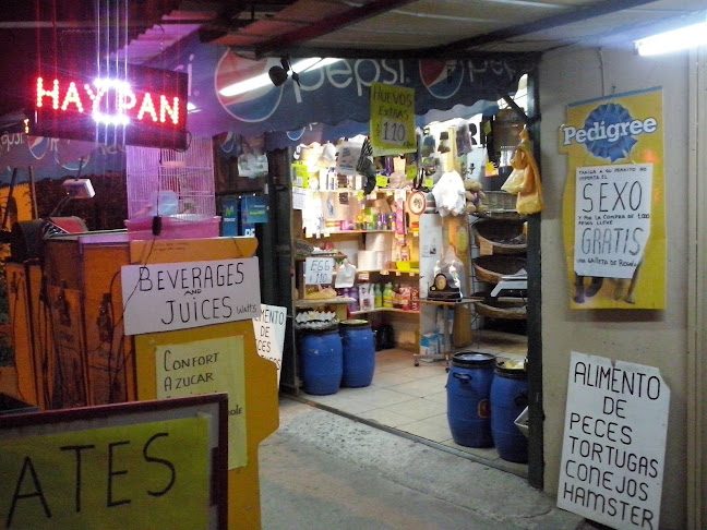 Alimento de mascotas"RHICATDOG” - Gastronomía y hostelería