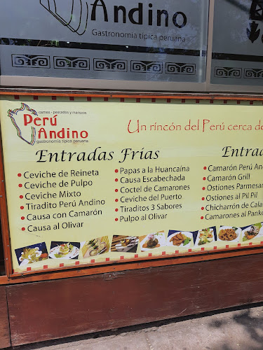 Gallito Roca - Viña del Mar