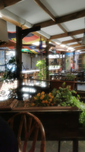 Carrera 335, 1760765 Vicuña, Coquimbo