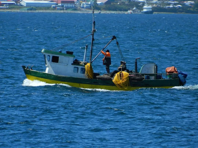 "Génesis" - Gastronomía y hostelería