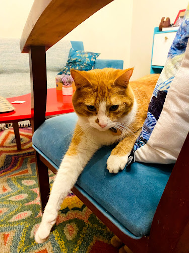 Tetería Cleopatra Chile - Santiago