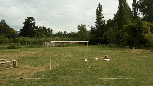 Fogón Chileno - Gastronomía y hostelería