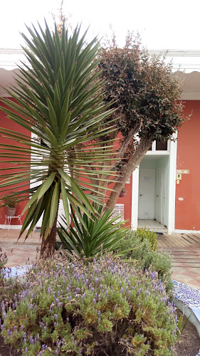 Bar and Café Rapsodia City Phone number