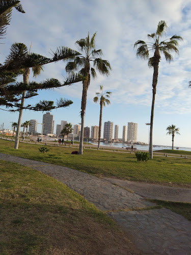 Ruan Restaurant - Gastronomía y hostelería