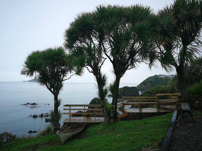 Don Cantino - Gastronomía y hostelería