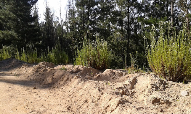 Paso La Playa Phone number