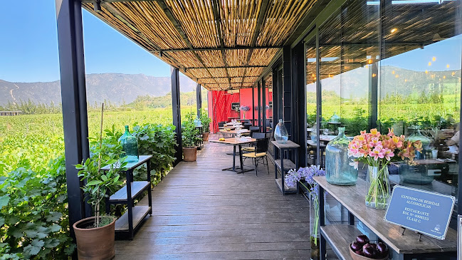 Fuegos de Apalta - Santa Cruz